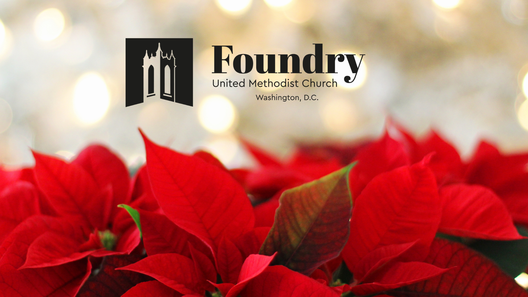Advent Greens and Poinsettia Dedications