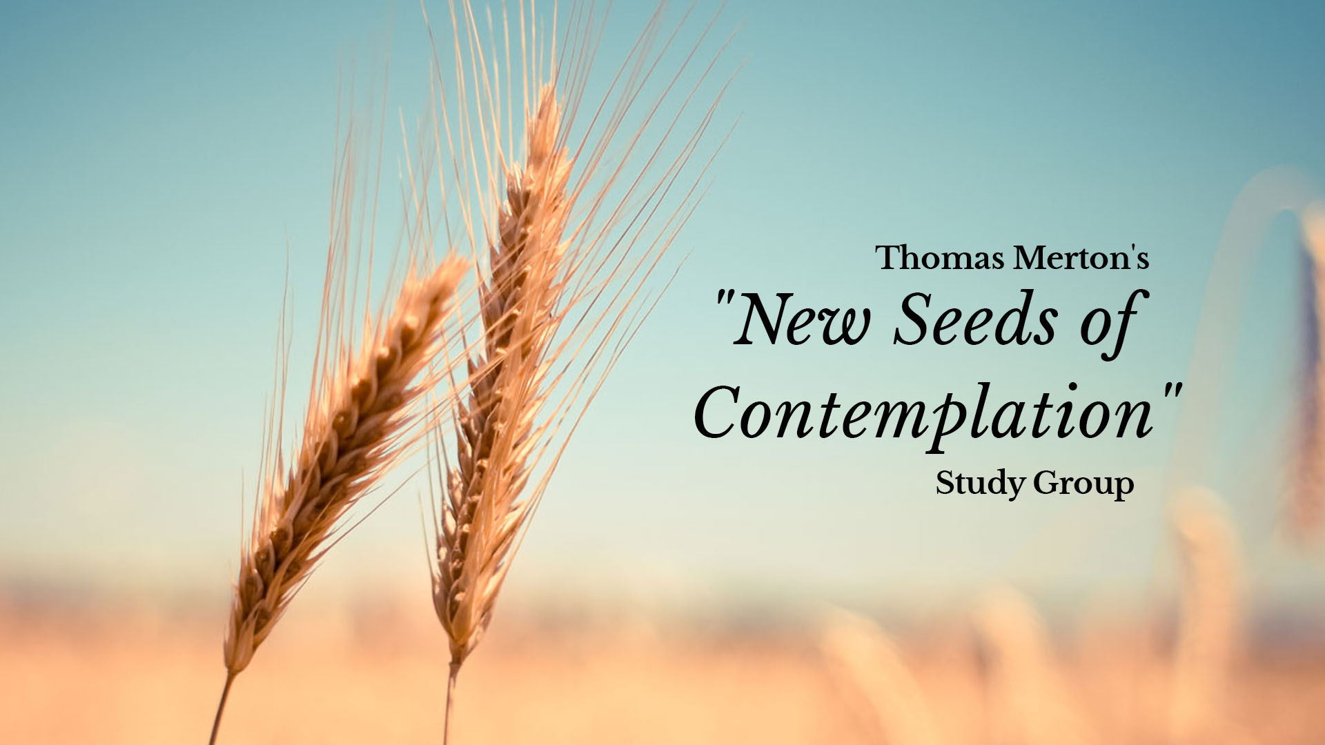 New Seeds of Contemplation Study Group