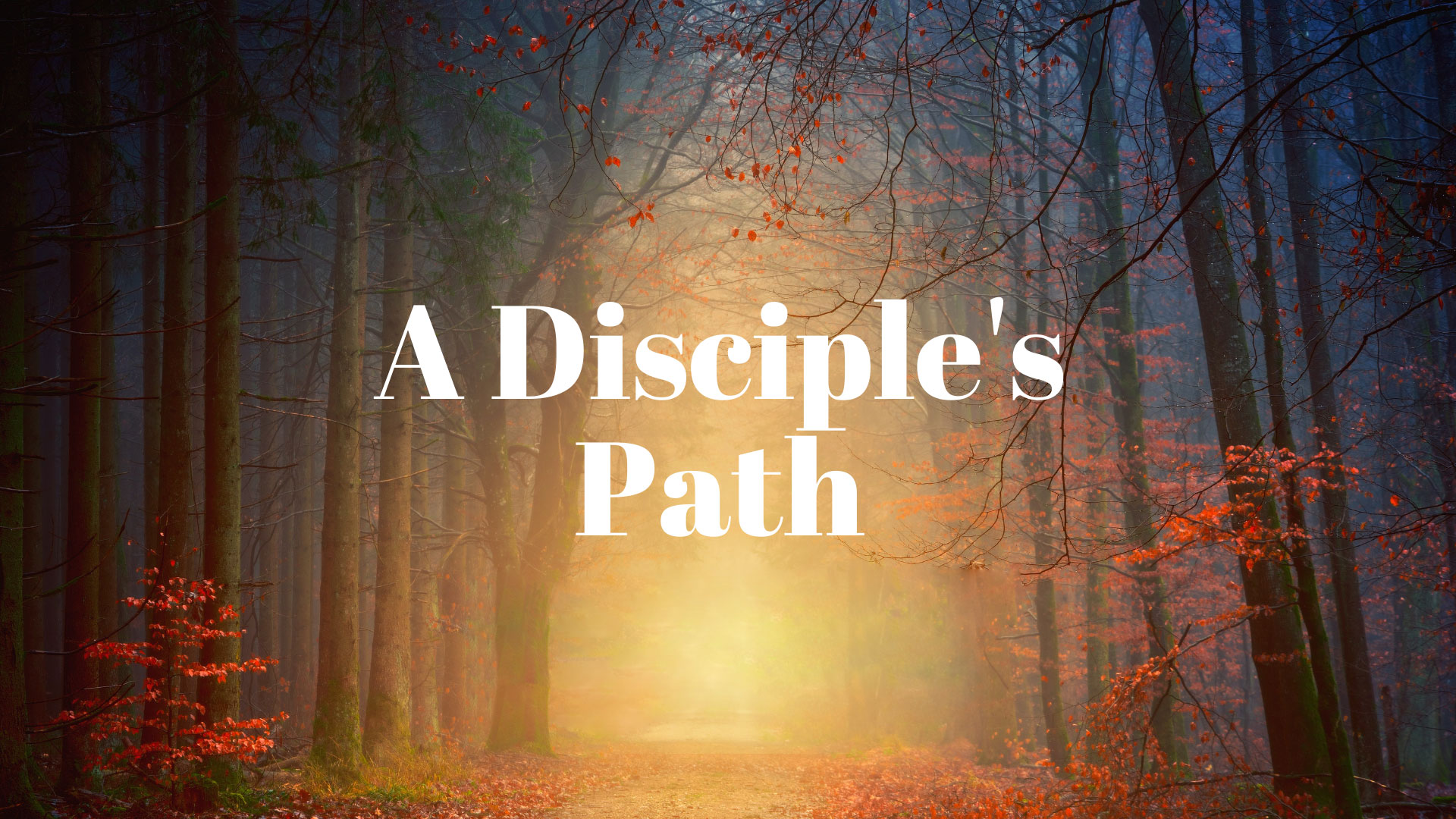 A Disciple's Path